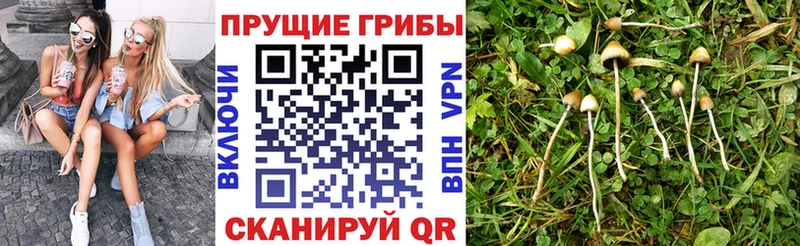 Галлюциногенные грибы ЛСД  что такое   Похвистнево 